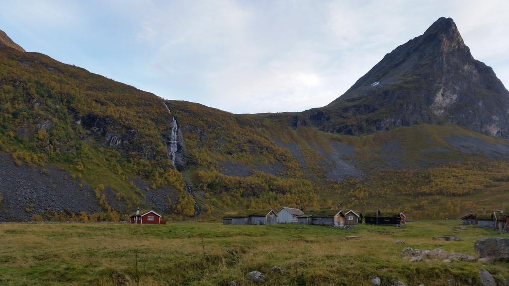 Petrines Gjestgiveri Norddal Экстерьер фото