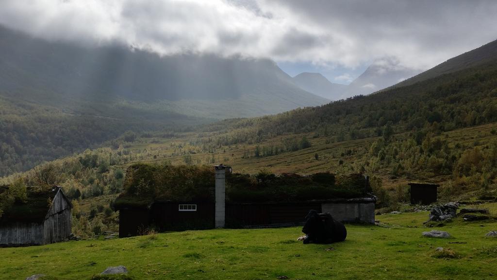 Petrines Gjestgiveri Norddal Экстерьер фото